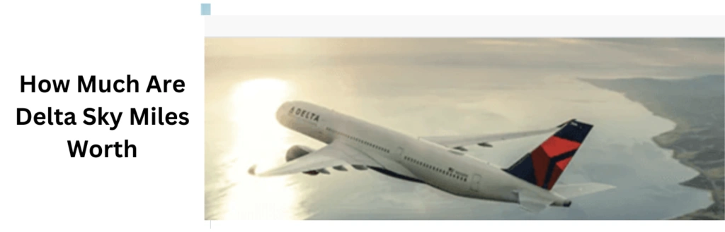 How Much Are Delta Sky Miles Worth