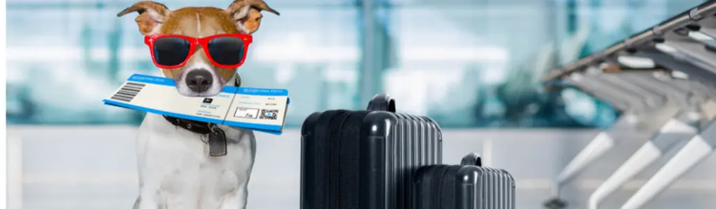 What You Can & Can’t Take in Carry-On Luggage (2026 Update)