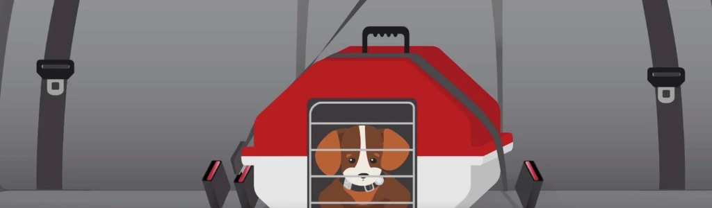 Complete Pet Travel Packing Checklist for Flights