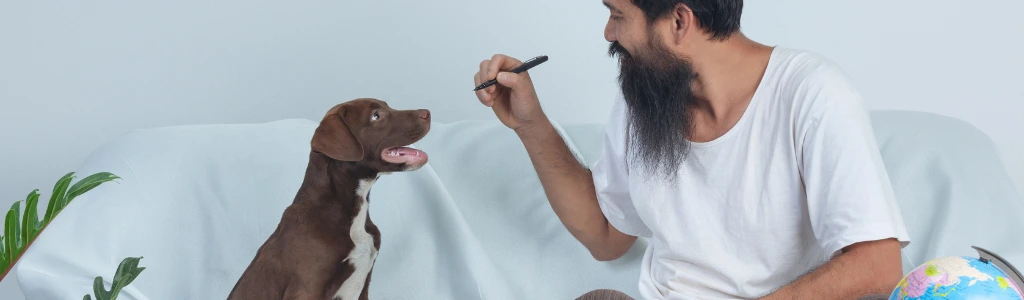 Vaccination Requirements and International Pet Travel Documents (2026 Guide)