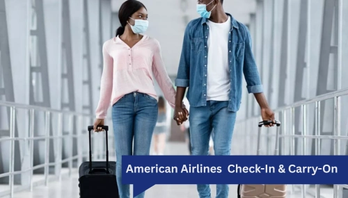 American Airlines Baggage fees Checked