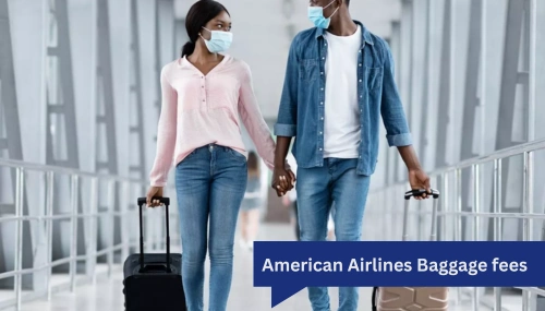 American Airlines Baggage fees