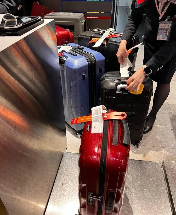 Checked Bags